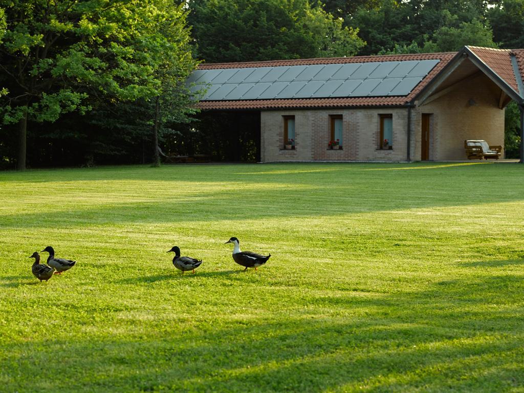 Relais Agrituristico Ormesani Villa Marcon Exterior photo